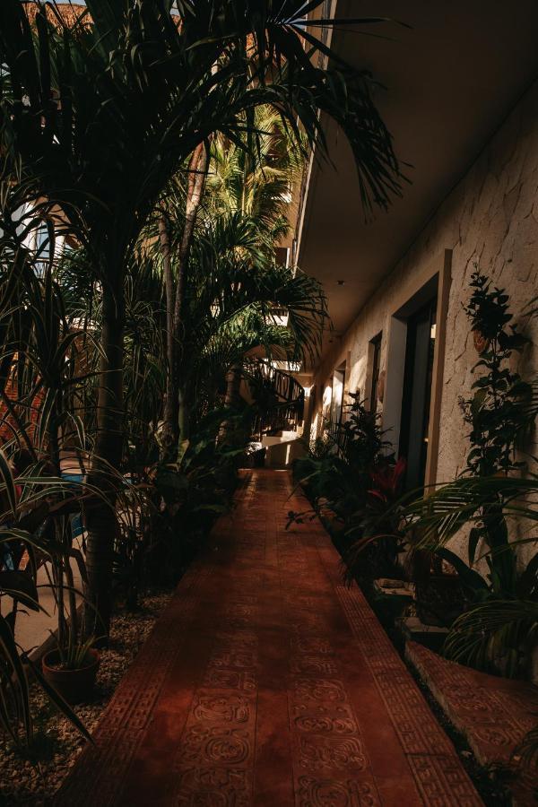 Hotel Lechuga De Mar Tulum With Pool And Beach Club Access מראה חיצוני תמונה